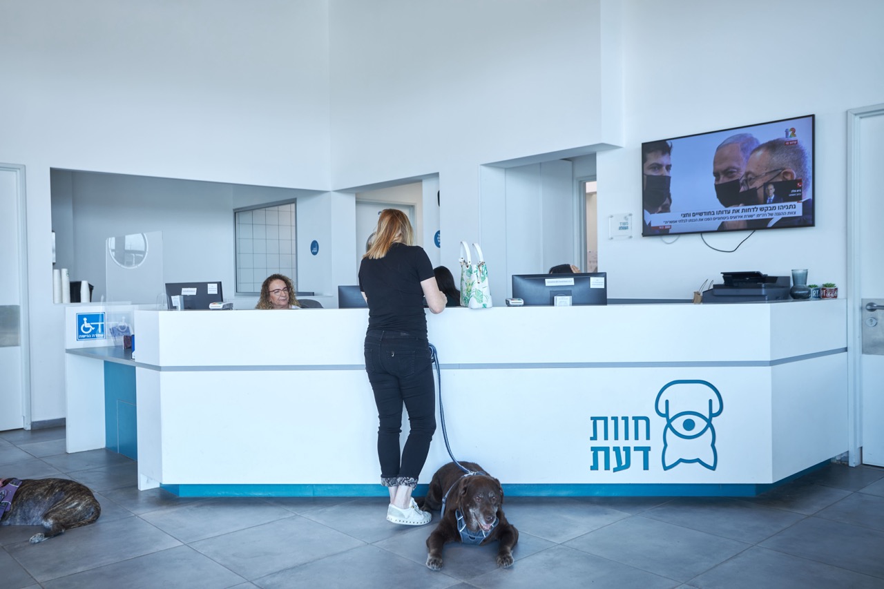 חוות דעת - שירותים וטרינריים