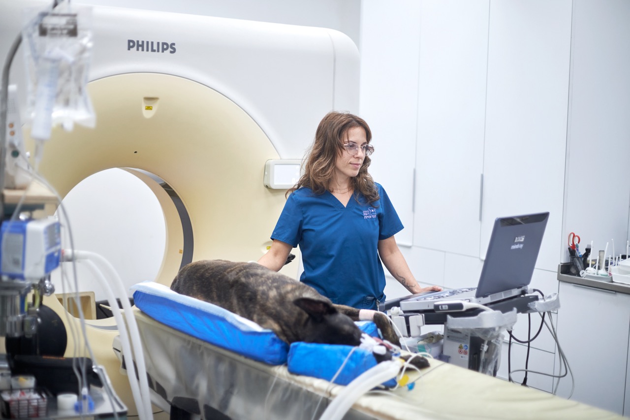 בדיקת MRI