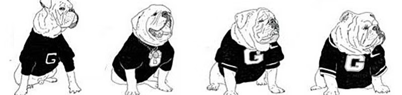 Brachycephalic Syndrome