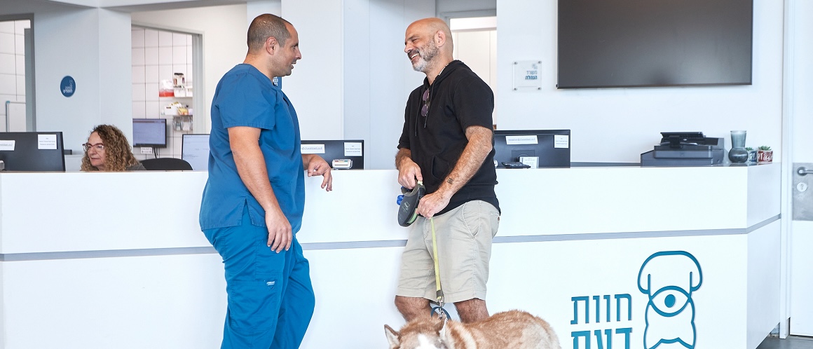 בדיקות מעבדה ובדיקות דם לכלבים ולחתולים